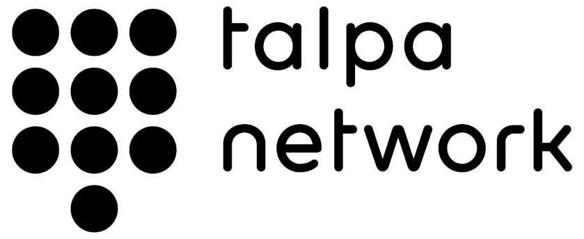 Lotte van den Enk - People & Organization Development Lead, Talpa Network